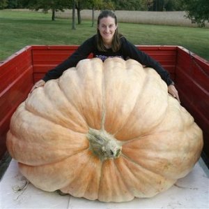 The World's Biggest Pumpkin, 2009 edition